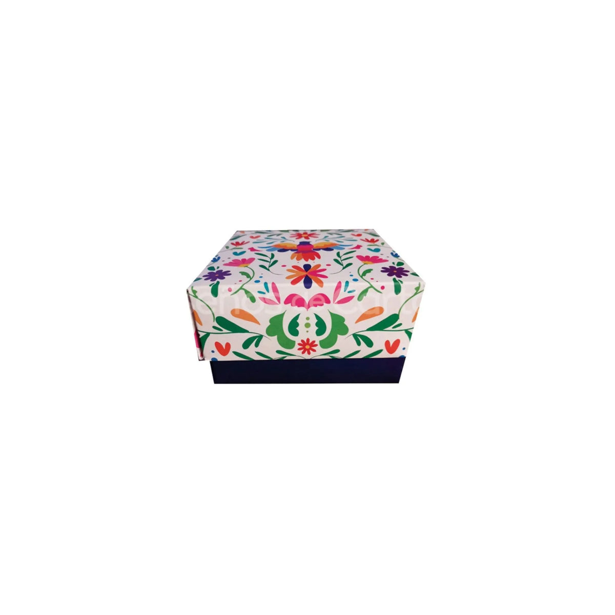 caja otomi 5415