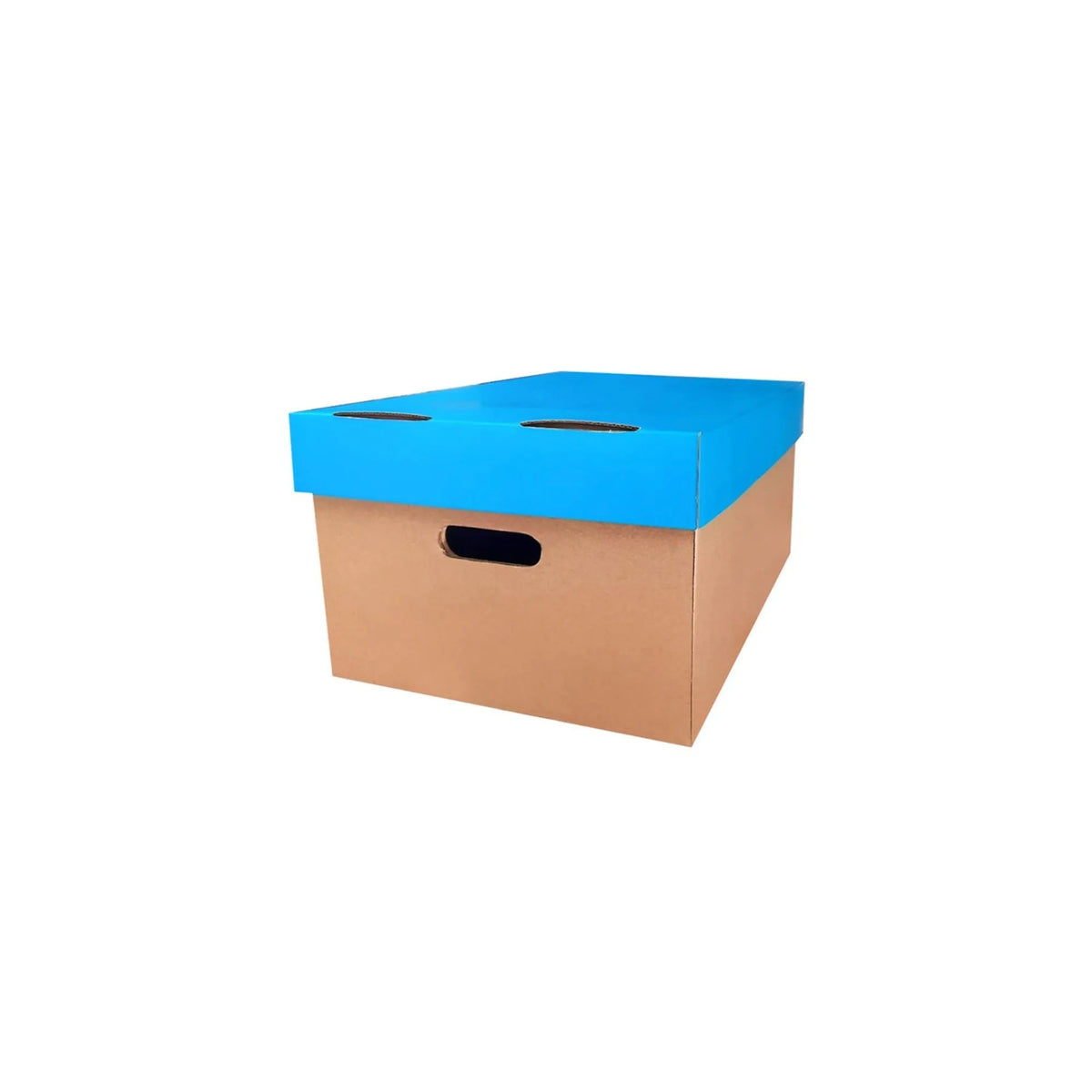 caja organizadora tapa azul grande