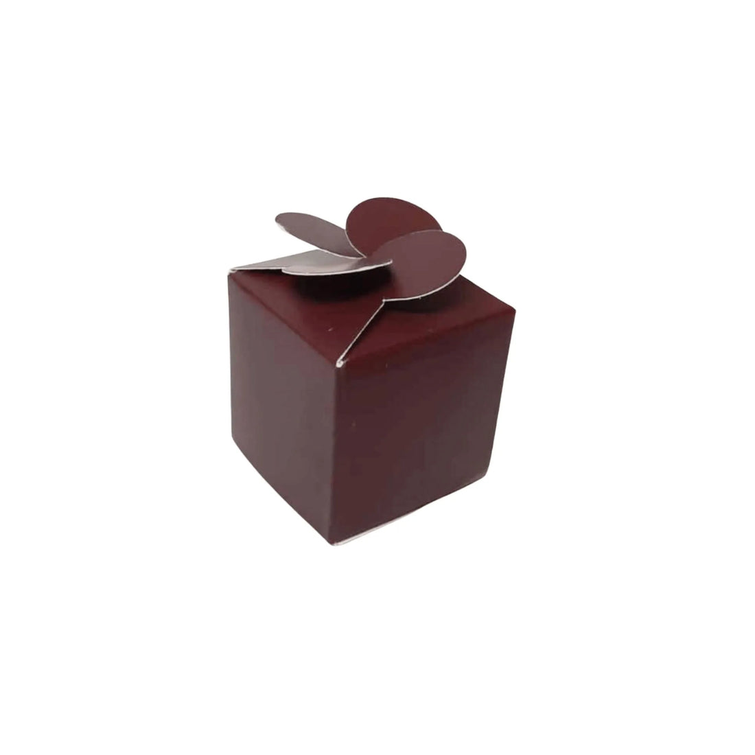 caja bolo chocolate 