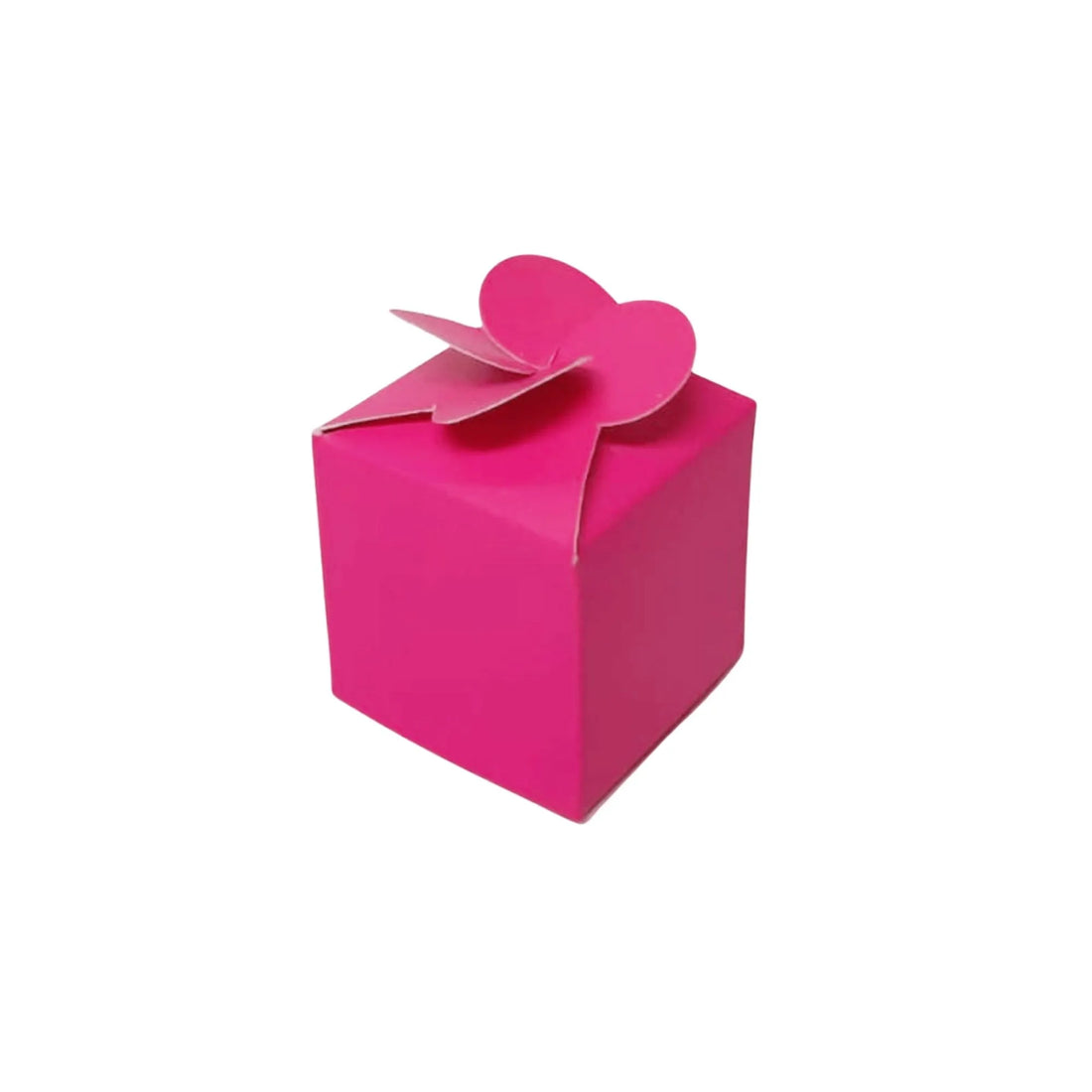 caja bolo fiusha 