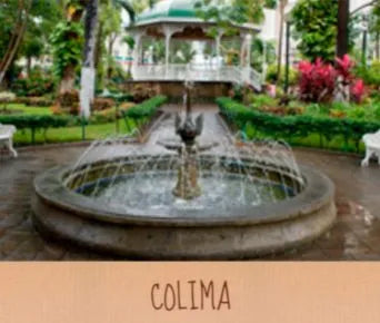 sucursales en colima 