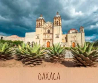 sucursales en oaxaca